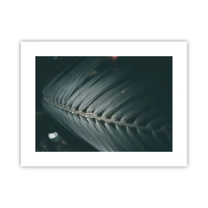 Poszter - A természet pontossága - 40x30 cm