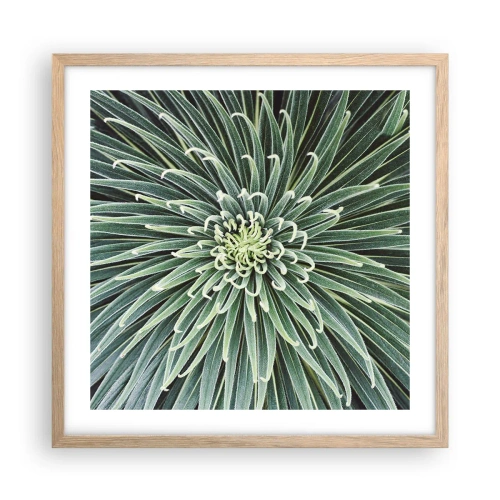 Poszter világos tölgy keretben - Csillag születik - 50x50 cm