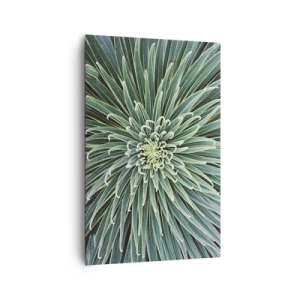 Vászonkép - Csillag születik - 80x120 cm