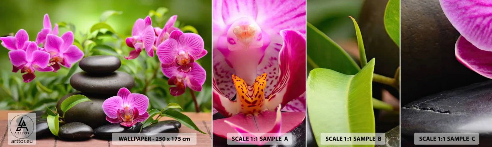 Fotótapéta Minta Standard Eco - A béke piramisa - Virágok, Orchidea, Orchidea - 100x30 cm