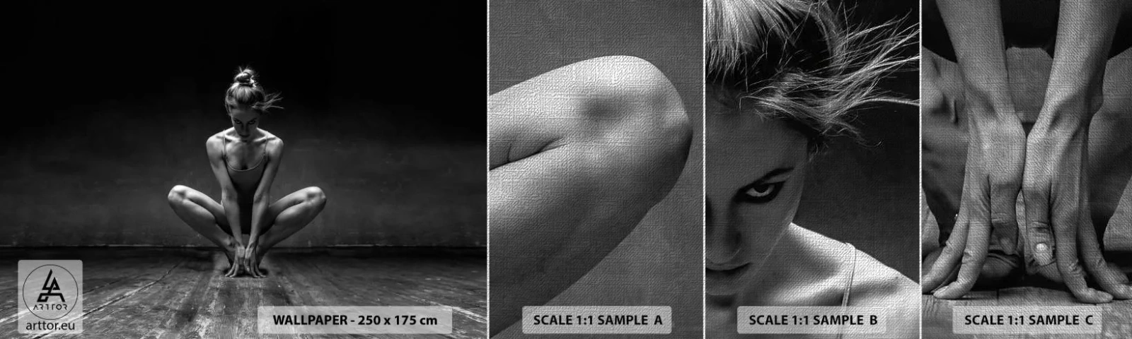 Fotótapéta Minta Premium Canvas - A táncenergia koncentrációja - Táncos, Nő, Fekete és fehér - 100x30 cm