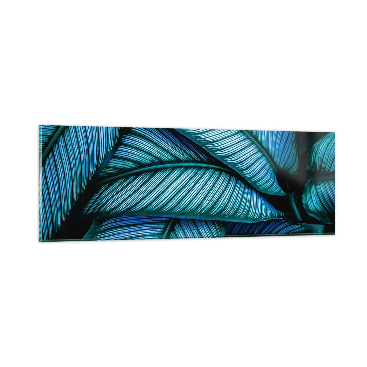 Üveg kép - Életvonalak - 90x30 cm