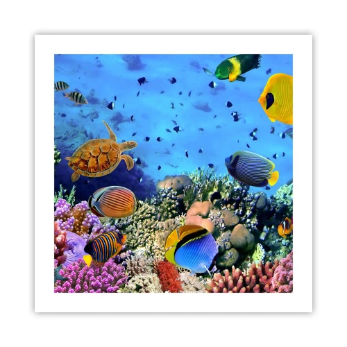 Poszter - És mit tudunk az életről... - 50x50 cm