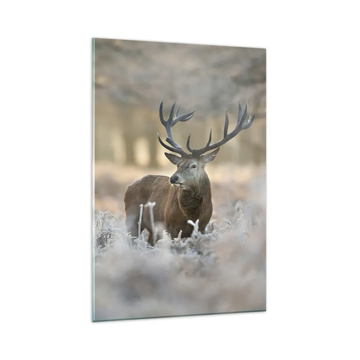 Üveg kép - Friss reggel - 80x120 cm