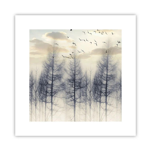 Poszter - Erdei szellemek - 30x30 cm