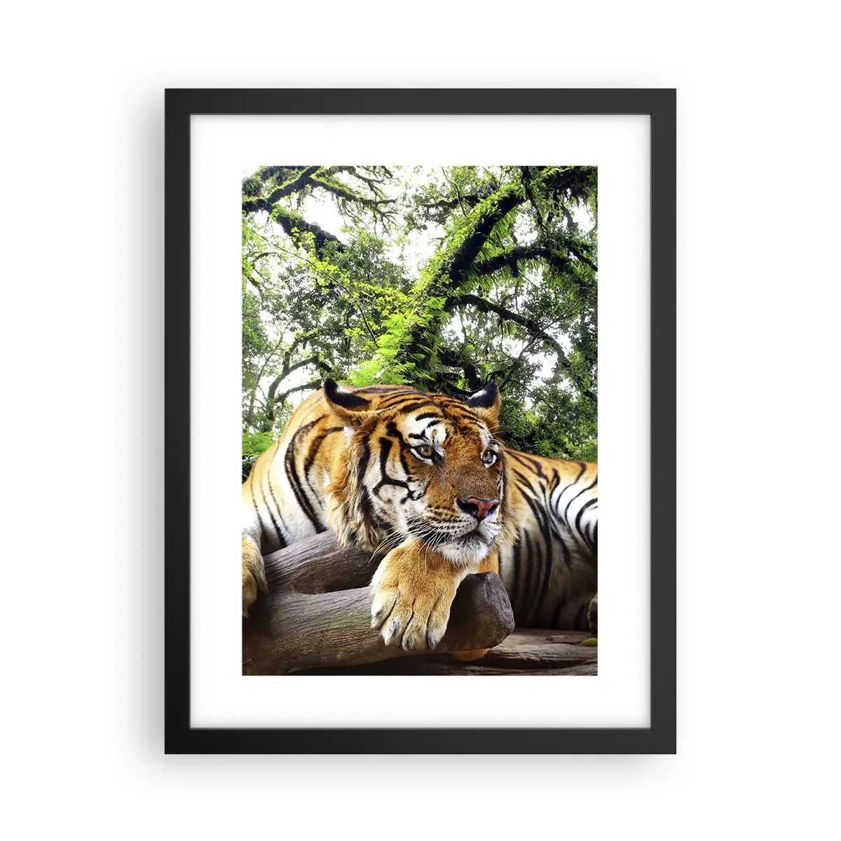 Poszter fehér keretben - Tisztelettel - 30x40 cm