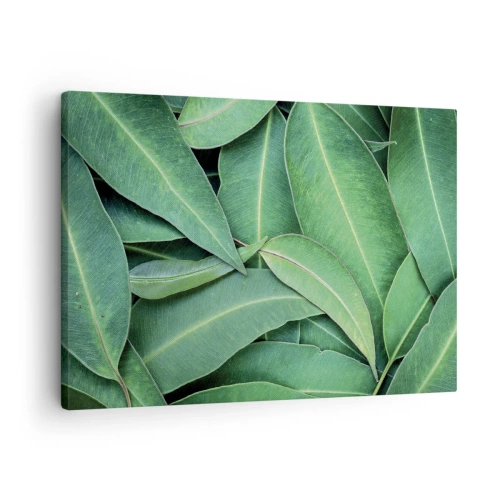 Vászonkép - Zöld levelek közeli képe, amelyek természetes mintázatot hoznak létre - 70x50cm - Lédús és friss - Modern fali dekoráció nappalihoz és hálószobához ARTTOR