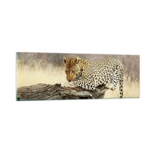 Üveg kép - A magam útjait járom - 90x30 cm