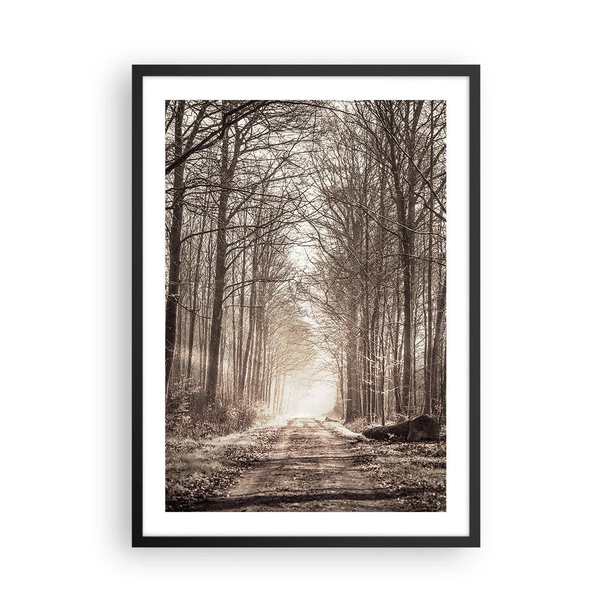 Poszter fehér keretben - Egy erdei ösvény őszi szépia árnyalatokban - 50x70cm - Erdei katedrális - Modern fali dekoráció nappalihoz és hálószobához ARTTOR