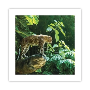 Poszter - A vadászatra? - 40x40 cm