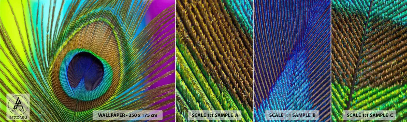 Fotótapéta Minta Premium Canvas - Szemtől szemben - Absztrakció, Pávatoll, Darab - 100x30 cm