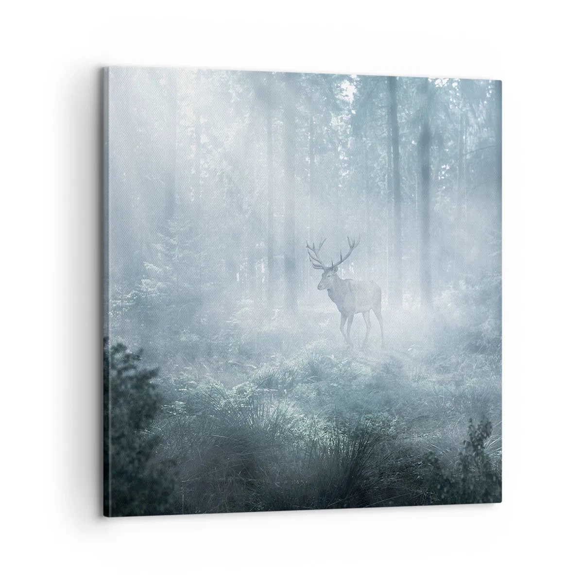 Vászonkép - Reggeli birtokellenőrzés - 60x60 cm