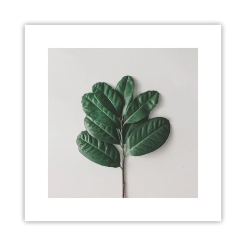 Poszter - Rajz csak a természetről - 30x30 cm