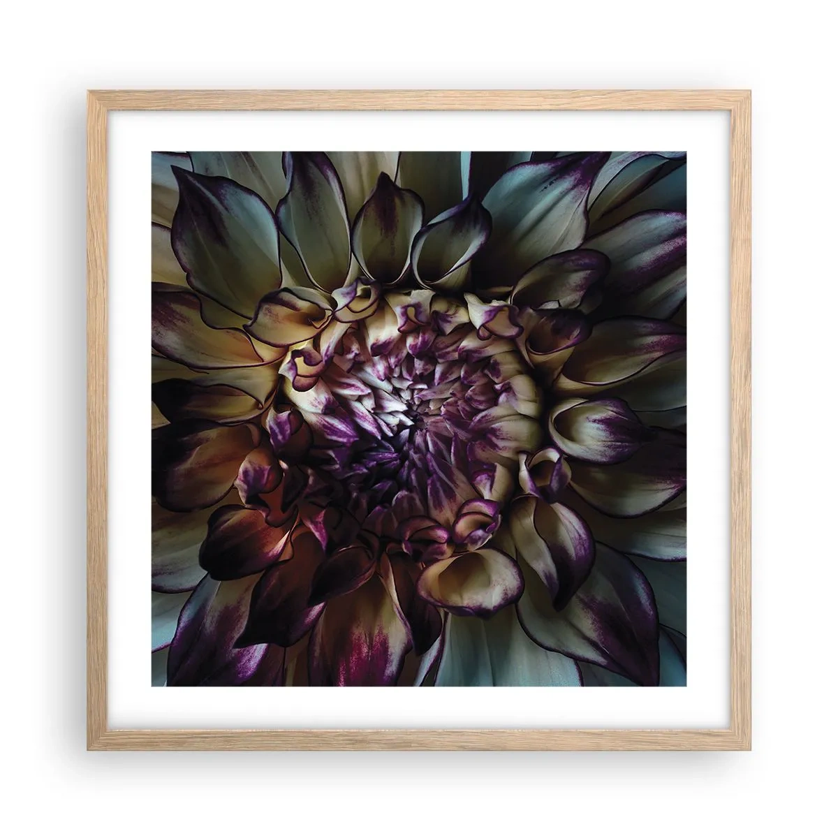 Poszter világos tölgy keretben - A fiatalság kivirágzása - 50x50 cm