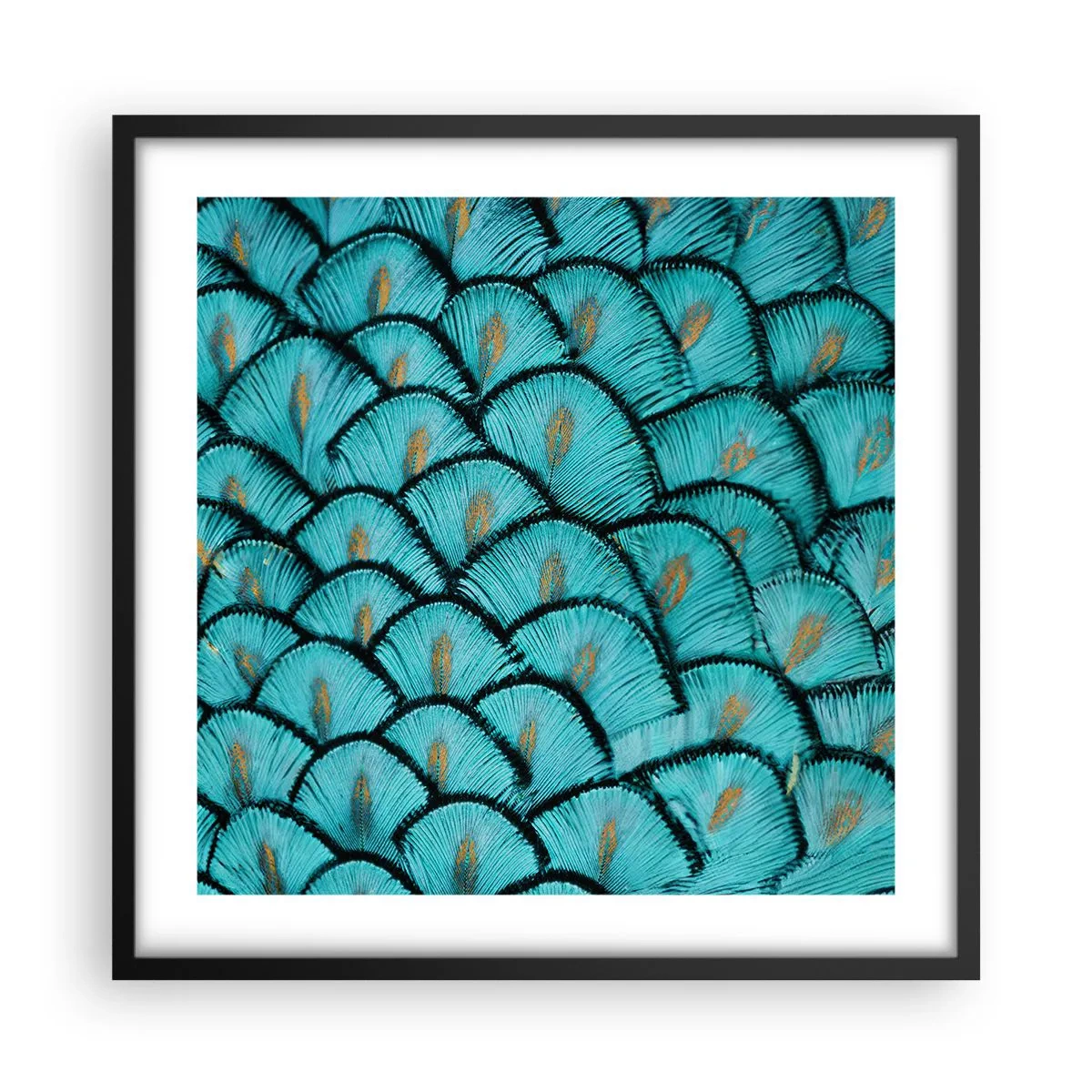 Poszter fehér keretben - A tollak nagy gálája - 50x50 cm