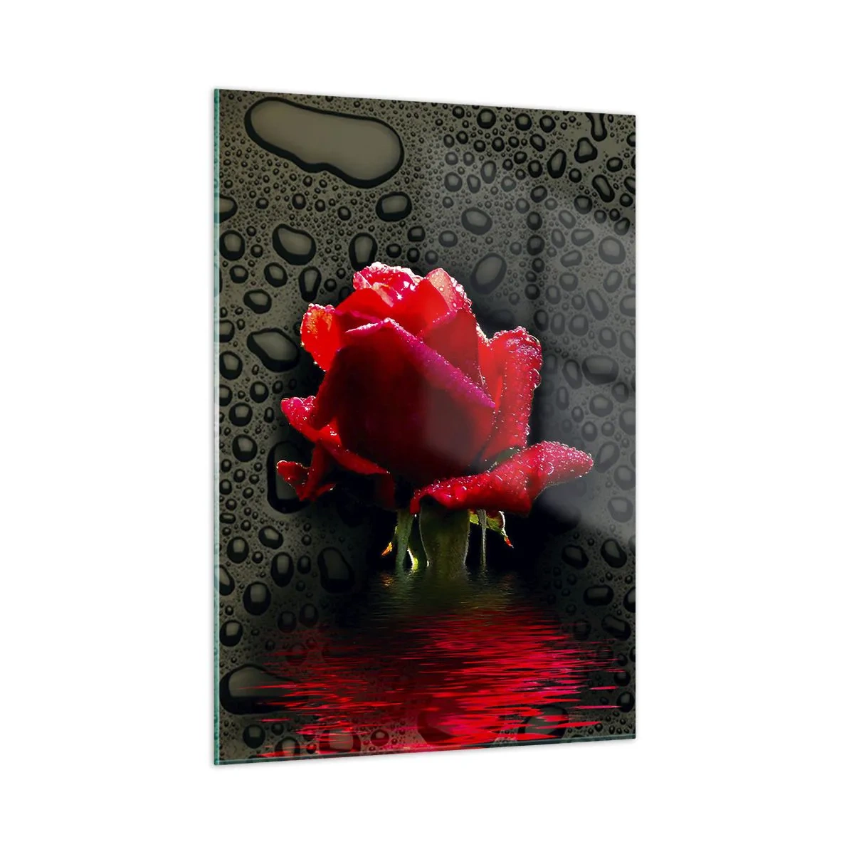 Üveg kép - piros és fekete - 50x70 cm
