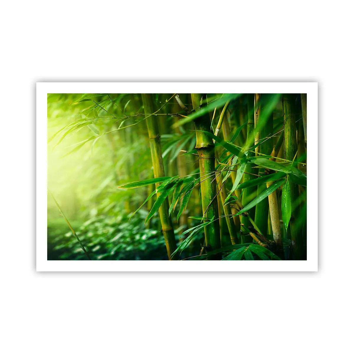 Poszter - Megismerni magát a zöldet - 91x61 cm