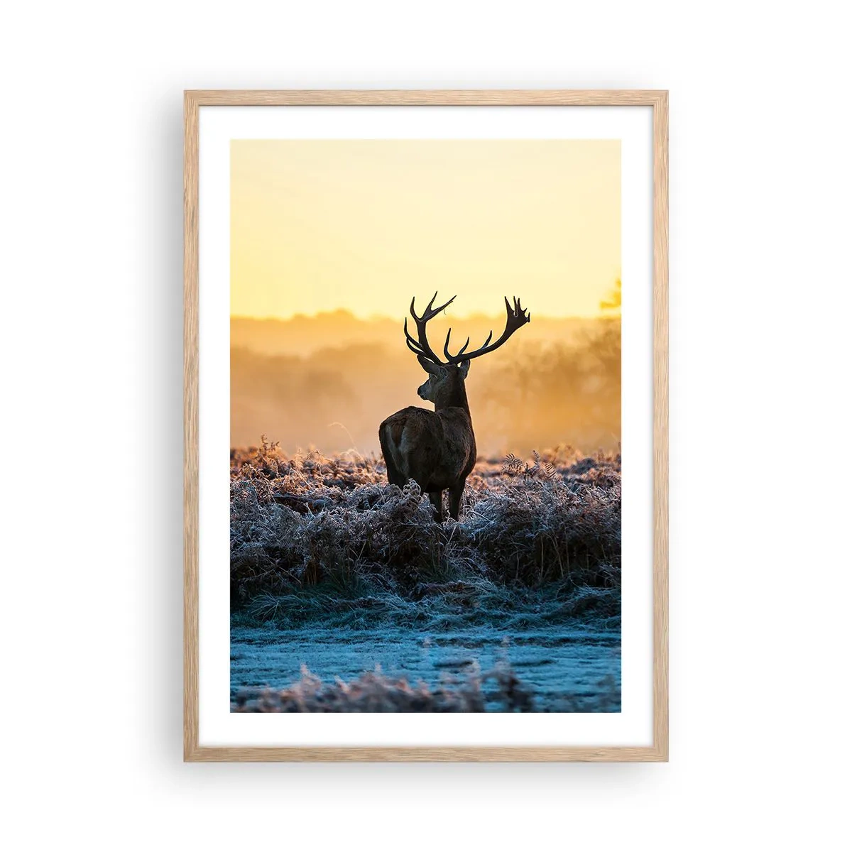 Poszter világos tölgy keretben - Megkoronázott a birtokán - 50x70 cm