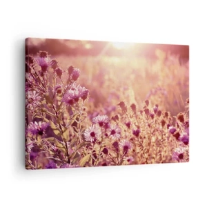 Vászonkép - Rét a lenyugvó nap fényében - 70x50cm - A nyár elmúlás előtt - Modern fali dekoráció nappalihoz és hálószobához ARTTOR