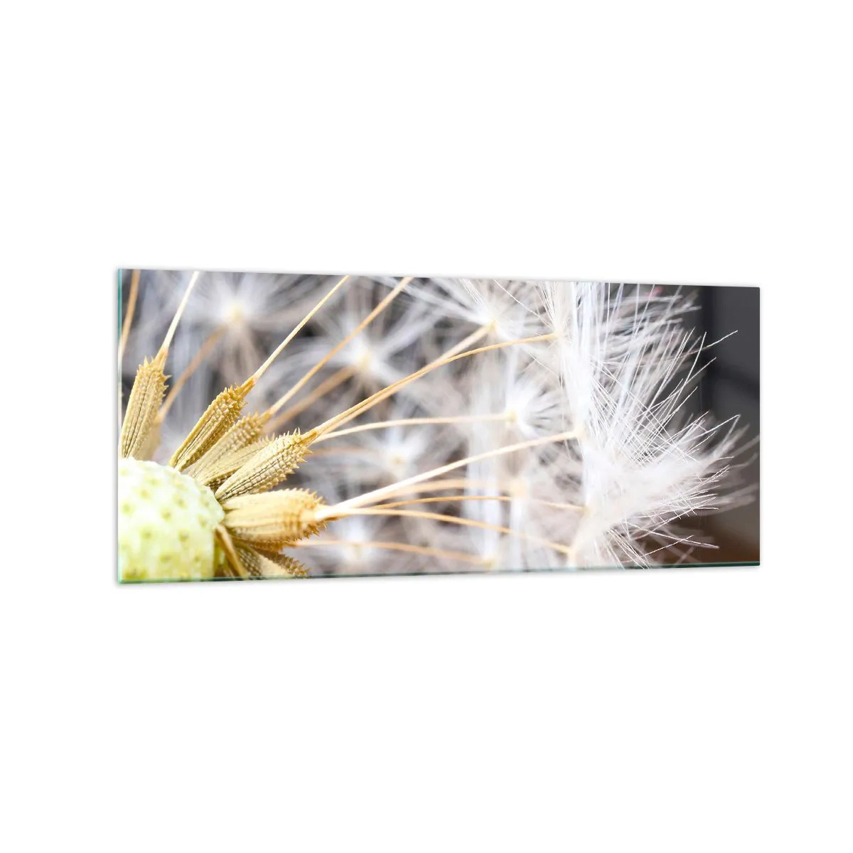 Üveg kép - Közvetlenül az indulás előtt - 120x50 cm