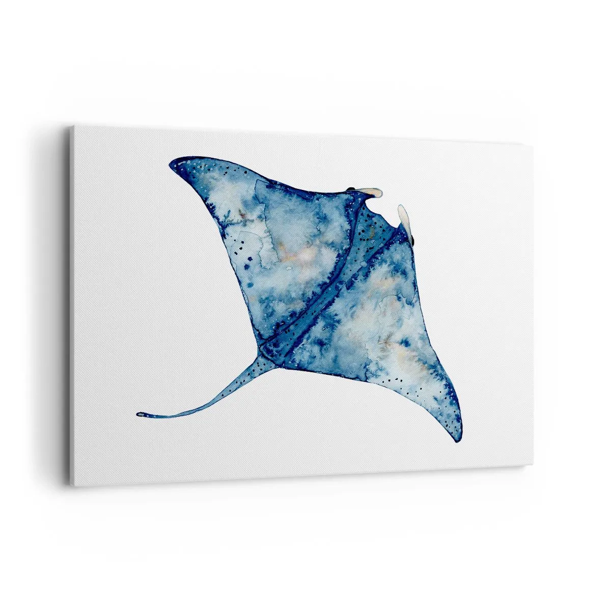 Vászonkép - Élet kékben - 120x80 cm