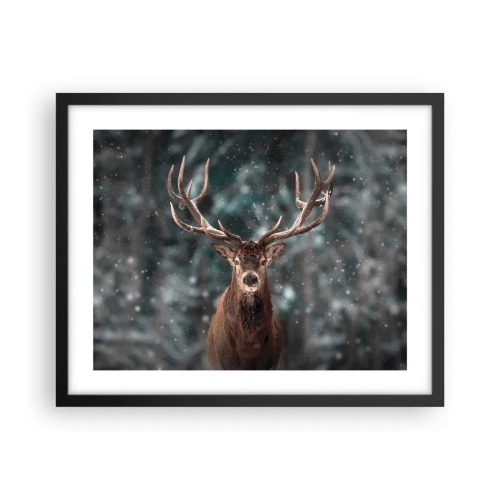 Poszter fehér keretben - Az erdő királya koronázva - 50x40 cm