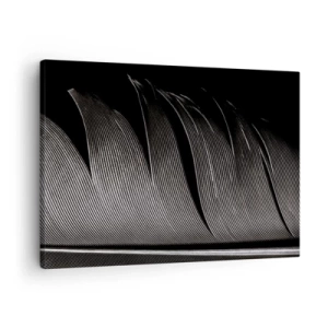 Vászonkép - Fekete-fehér toll textúra minimalista stílusban - 70x50cm - Toll - egy csodálatos konstrukció - Modern fali dekoráció nappalihoz és hálószobához ARTTOR