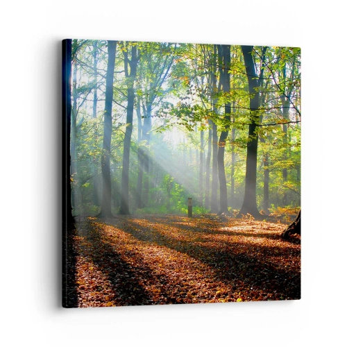 Vászonkép - Ragyogások és árnyékok - 40x40 cm