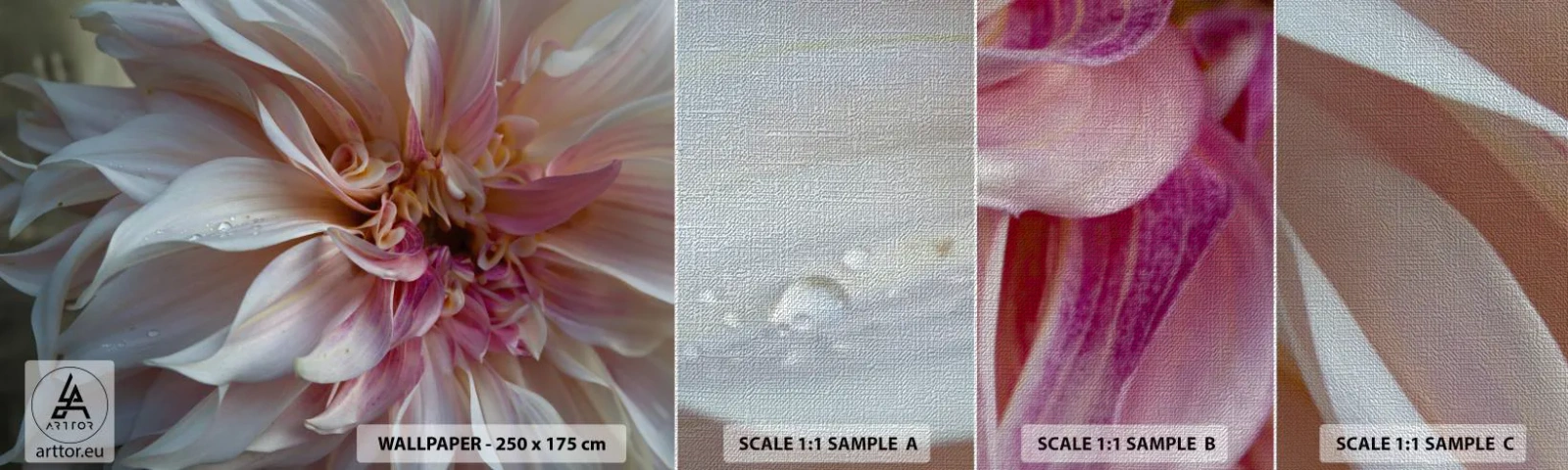 Fotótapéta Minta Premium Canvas - Virágzó frissesség - Virág, Dália, Növény - 100x30 cm