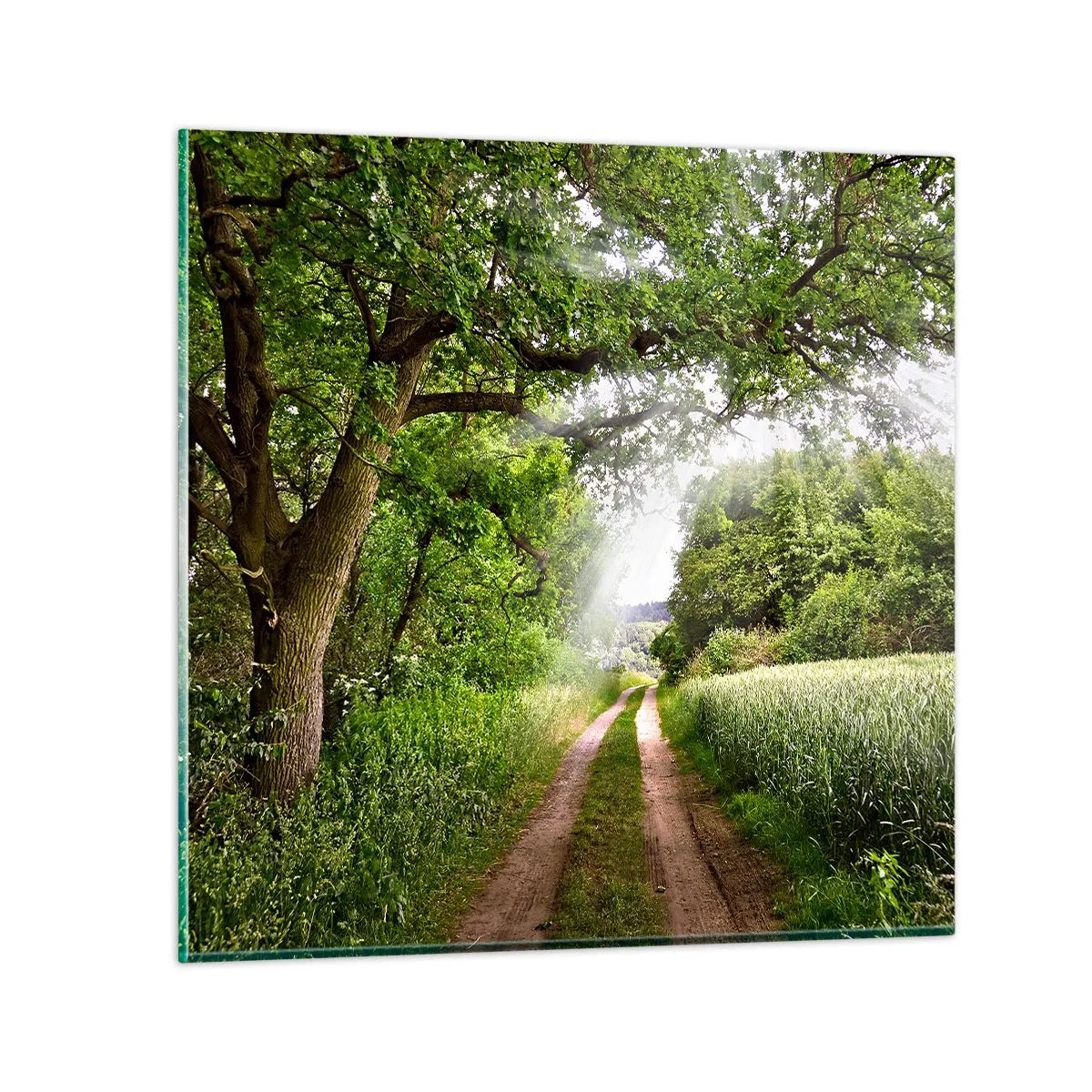 Üveg kép - Et in Arcadia ego - 40x40 cm