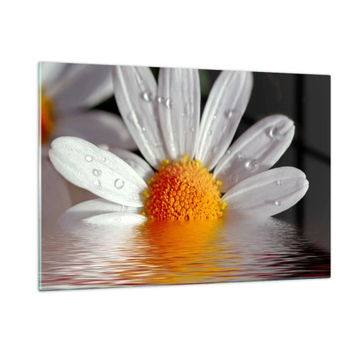 Üveg kép - A százszorszép felkelő napja - 120x80 cm