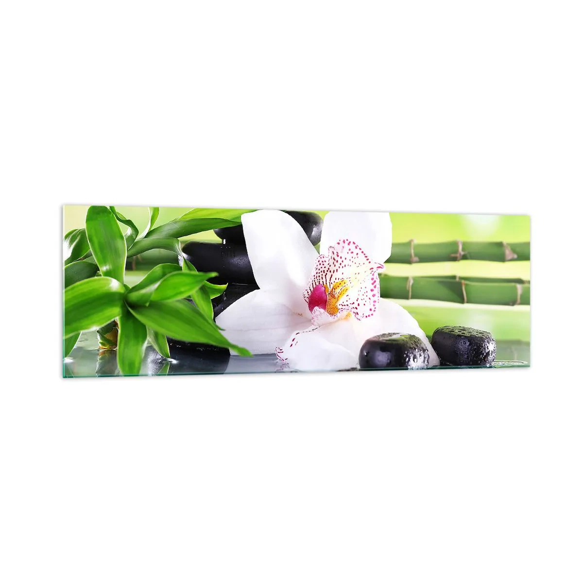 Üveg kép - Hűvös frissesség - 160x50 cm