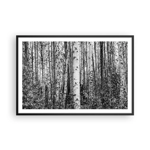 Poszter fehér keretben - Nyírfa oszlopsor - 91x61 cm