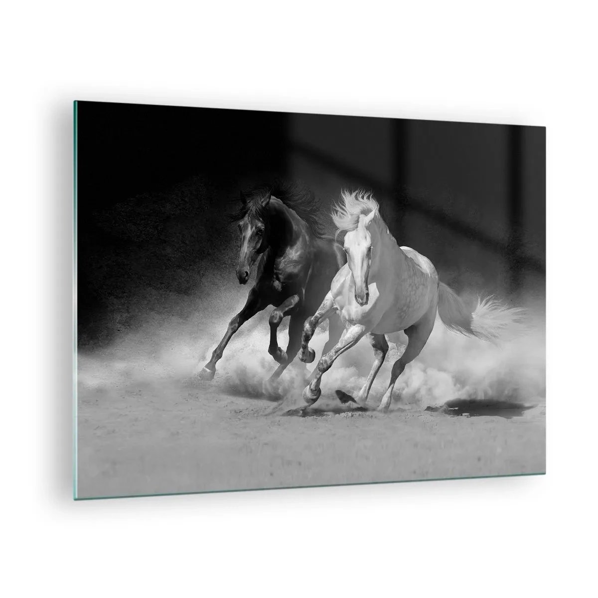 Üveg kép - Futó lovak fekete-fehérben - 70x50cm - A szabadság vágtája - Modern fali dekoráció nappalihoz és hálószobához ARTTOR
