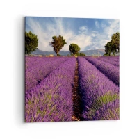 70x70 cm | Négyzetes