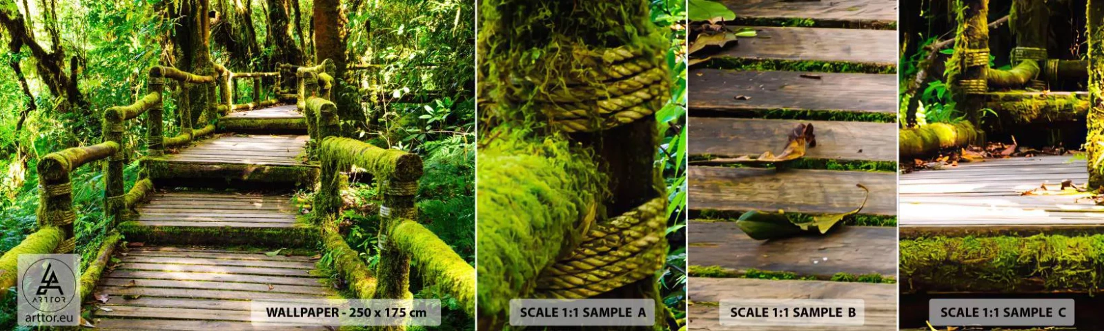 Fotótapéta Minta Standard Eco - A zöld folyosója - Természet, Tájkép, Erdő - 100x30 cm