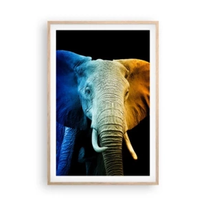 Poszter világos tölgy keretben - Excentrikus, nem különc - 61x91 cm