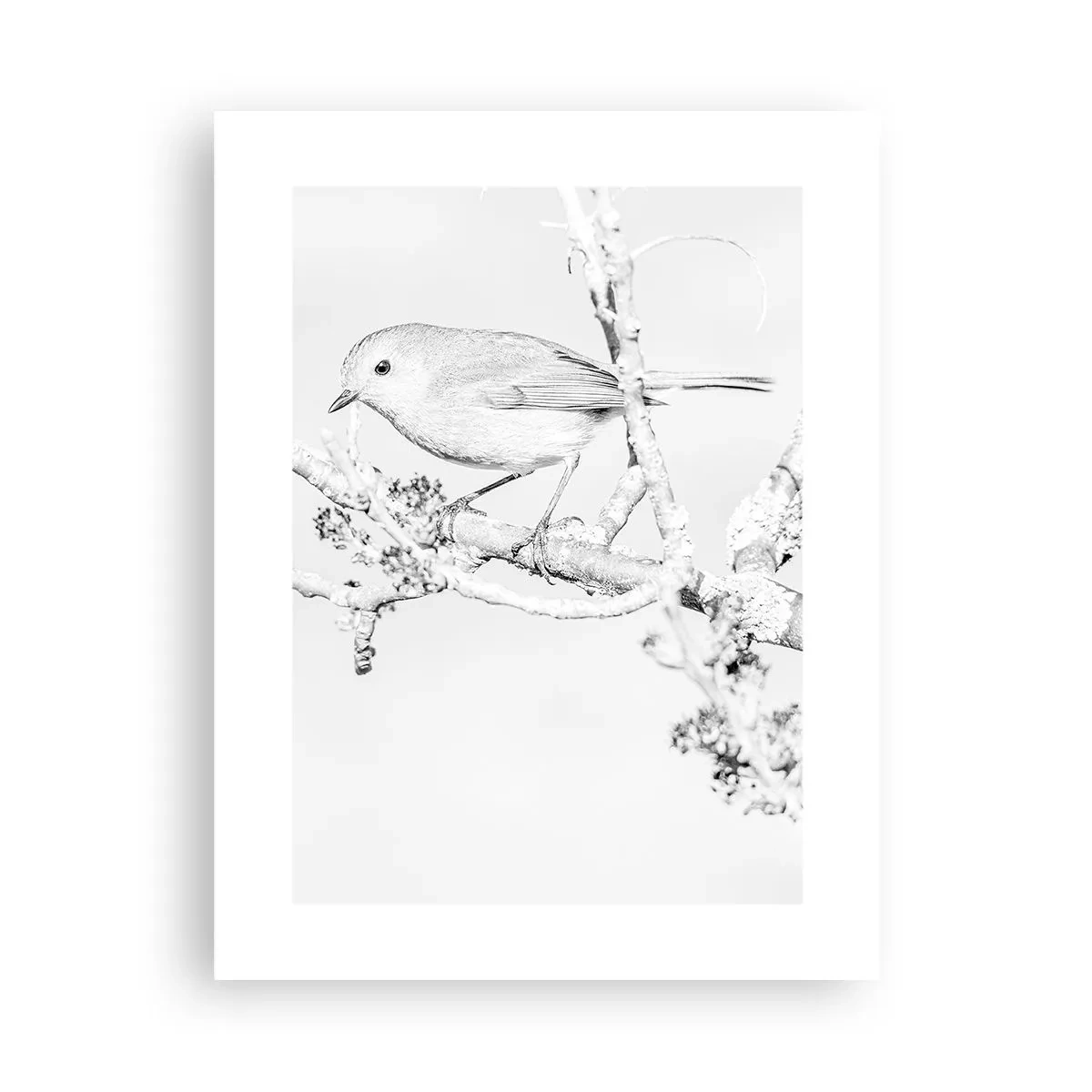 Poszter - Téli reggel - 30x40 cm