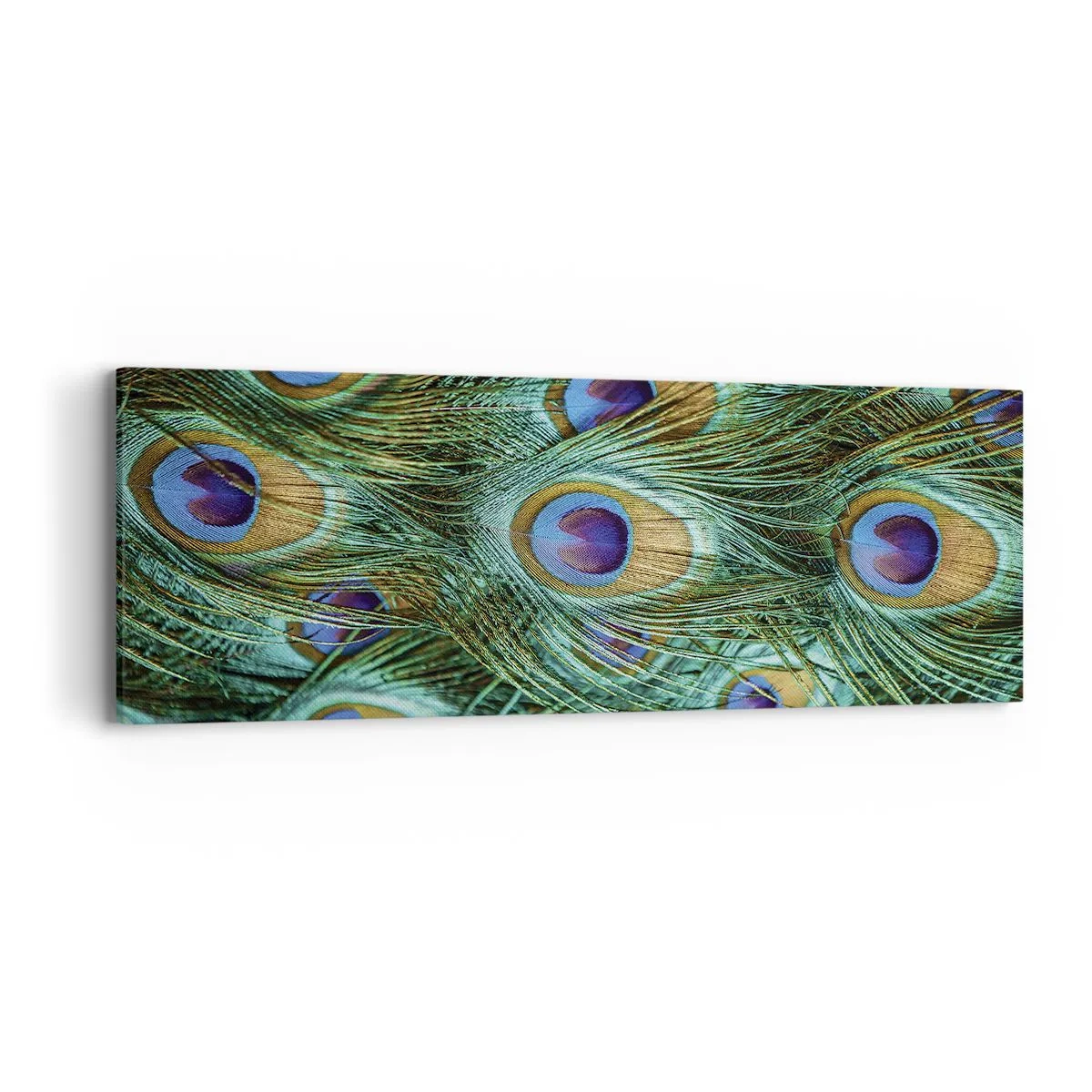 Vászonkép - Pávaszemű pillantás - 90x30 cm