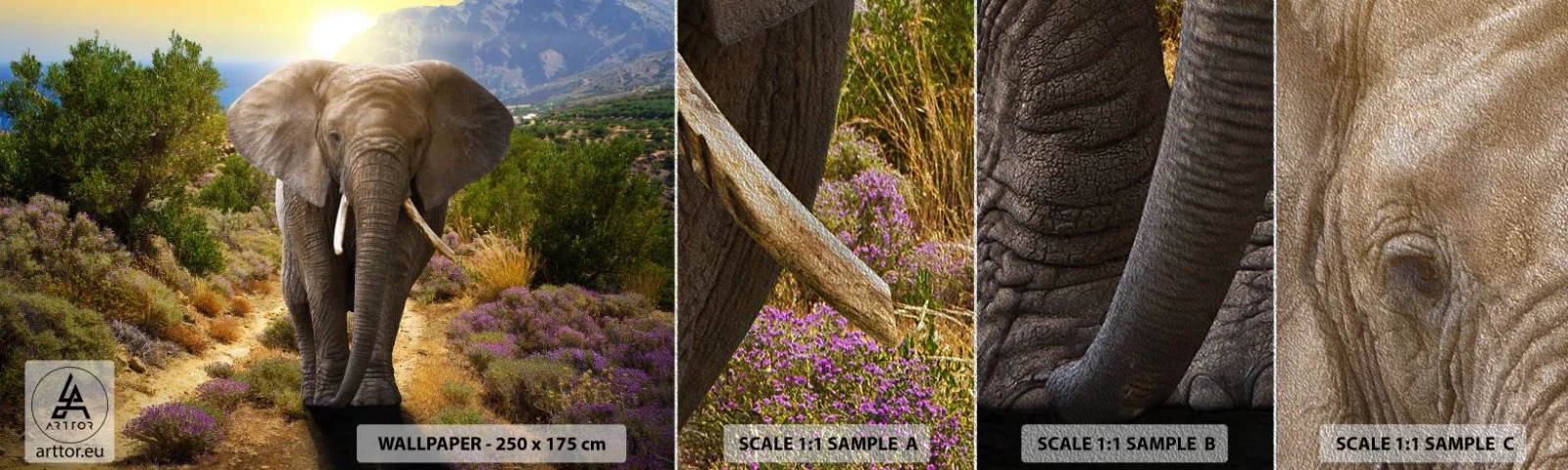 Fotótapéta Minta Premium Sand - Így nézett ki Eden - Állatok, Elefánt, Szafari - 100x30 cm