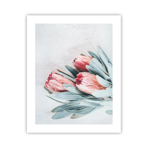 Poszter - Szégyellve saját szépségüket - 40x50 cm