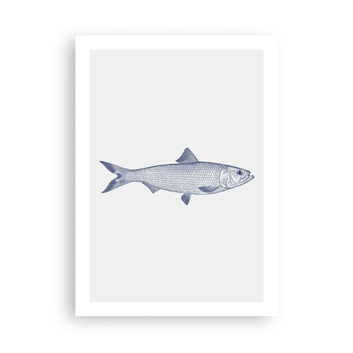 Poszter - Üdvözlet az északi tengerektől - 50x70 cm