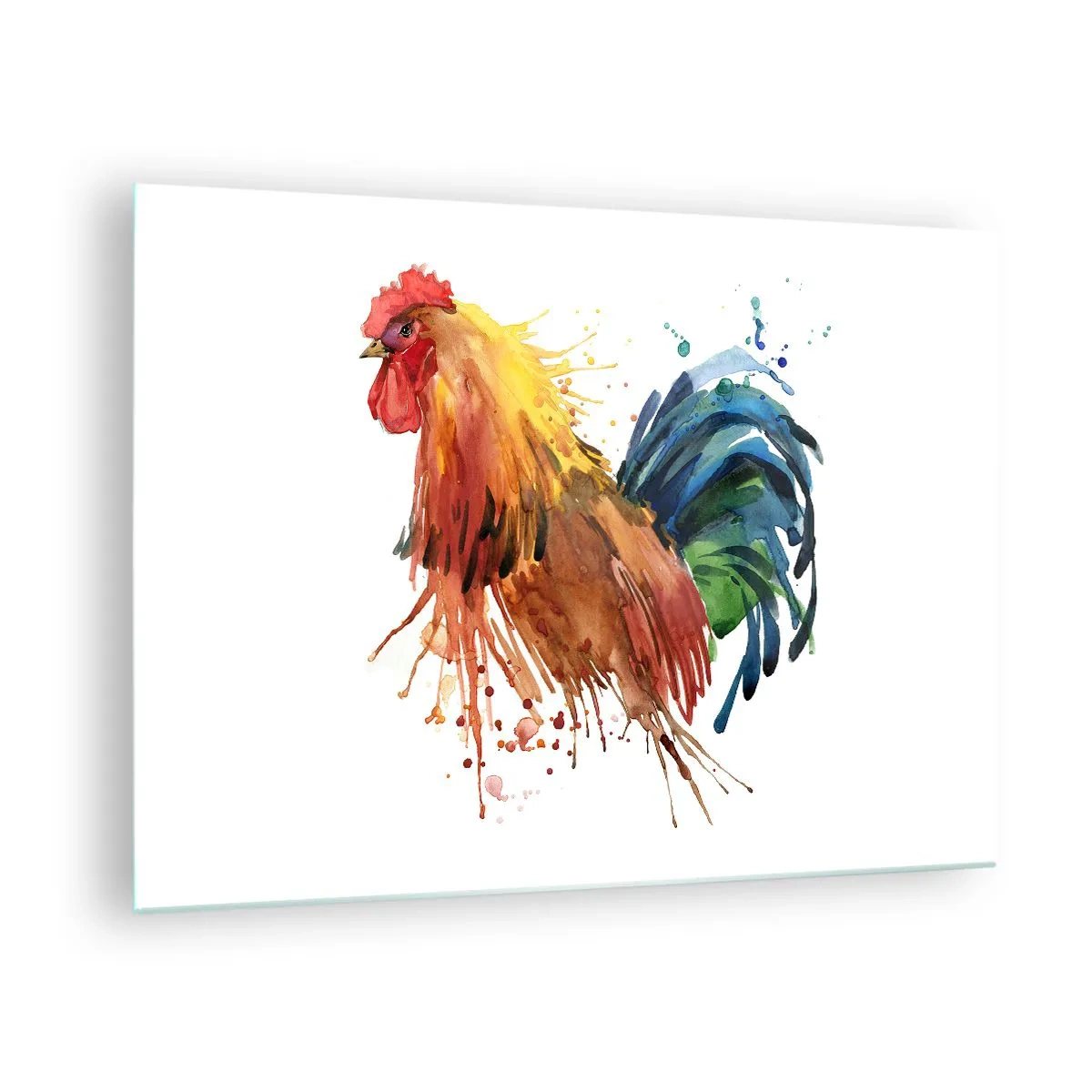 Üveg kép - Akvarell kakas élénk színekben, fehér alapon - 70x50cm - Királyi ruha, királyi büszkeség - Modern fali dekoráció nappalihoz és hálószobához ARTTOR