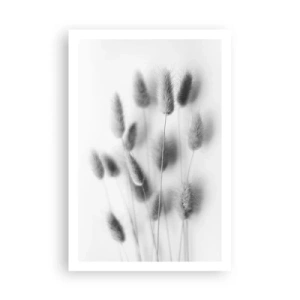 Poszter - A bolyhos fű - 61x91 cm