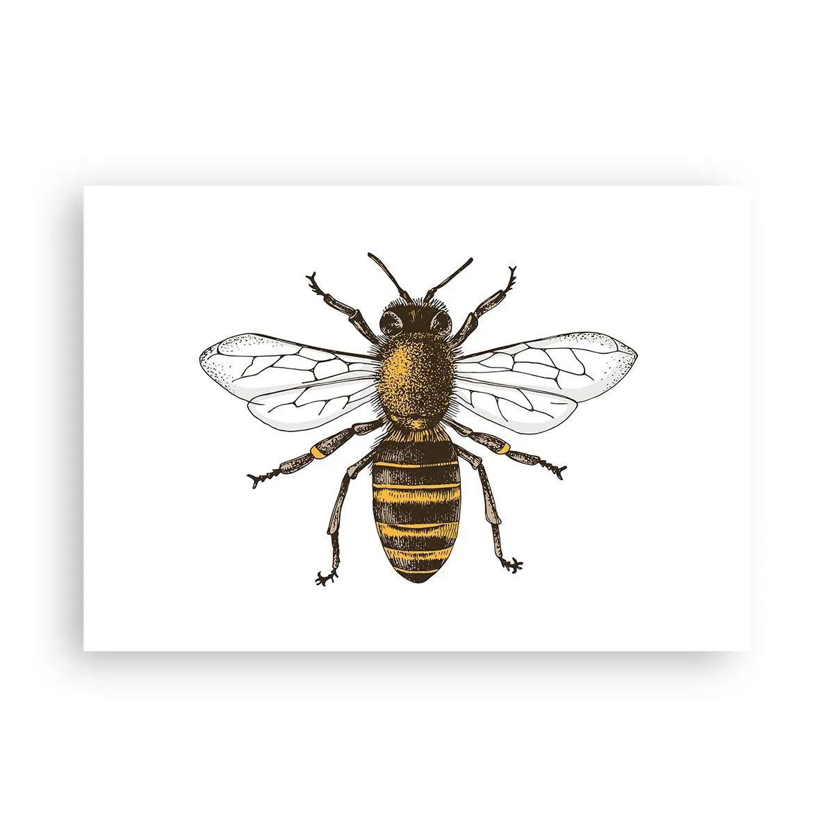 Poszter - Gyönyörű és jó - 100x70 cm