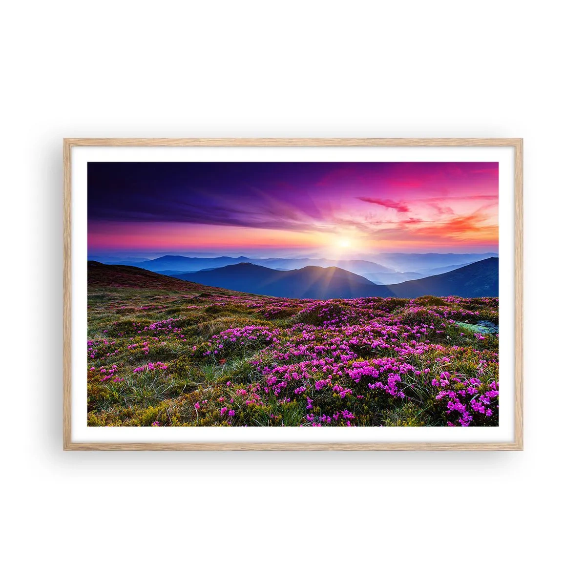 Poszter világos tölgy keretben - A gyógynövények friss fürtjei illatoztak a mezőkről - 91x61 cm