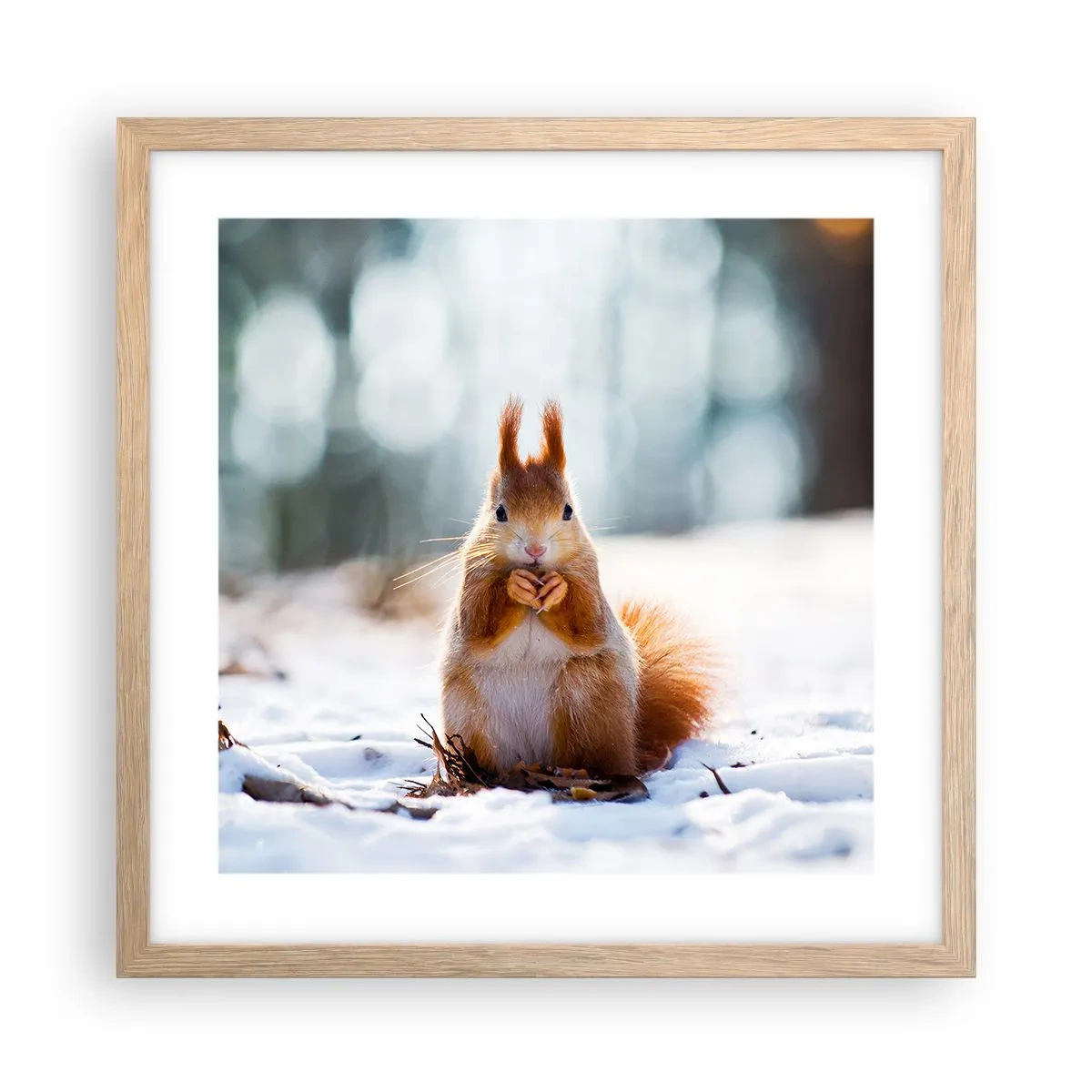 Poszter világos tölgy keretben - Mit nézel? - 40x40 cm