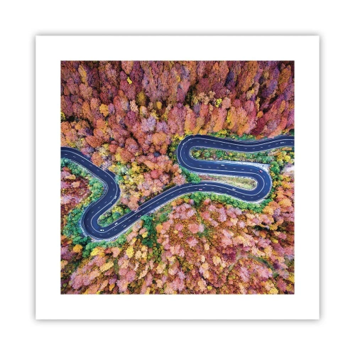 Poszter - Kanyargós út az erdőn keresztül - 40x40 cm