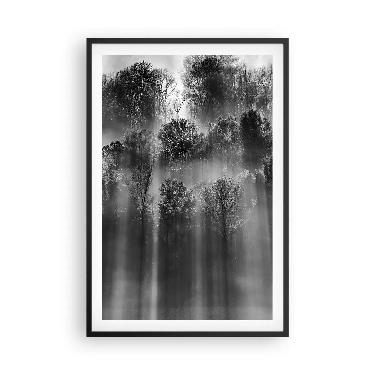 Poszter fehér keretben - Fénypatakokban - 61x91 cm