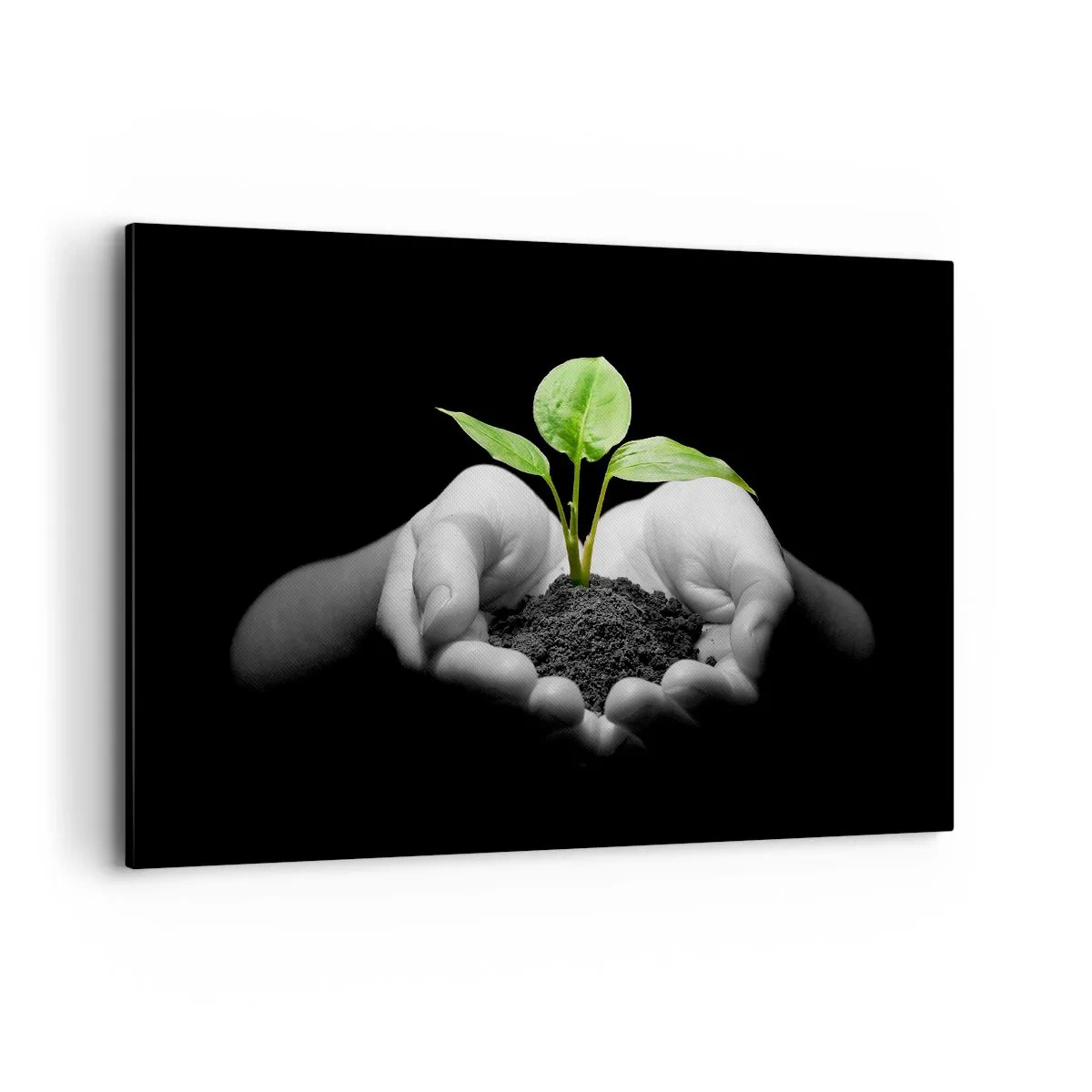 Vászonkép - Szeretem a természetet, védem azt - 120x80 cm